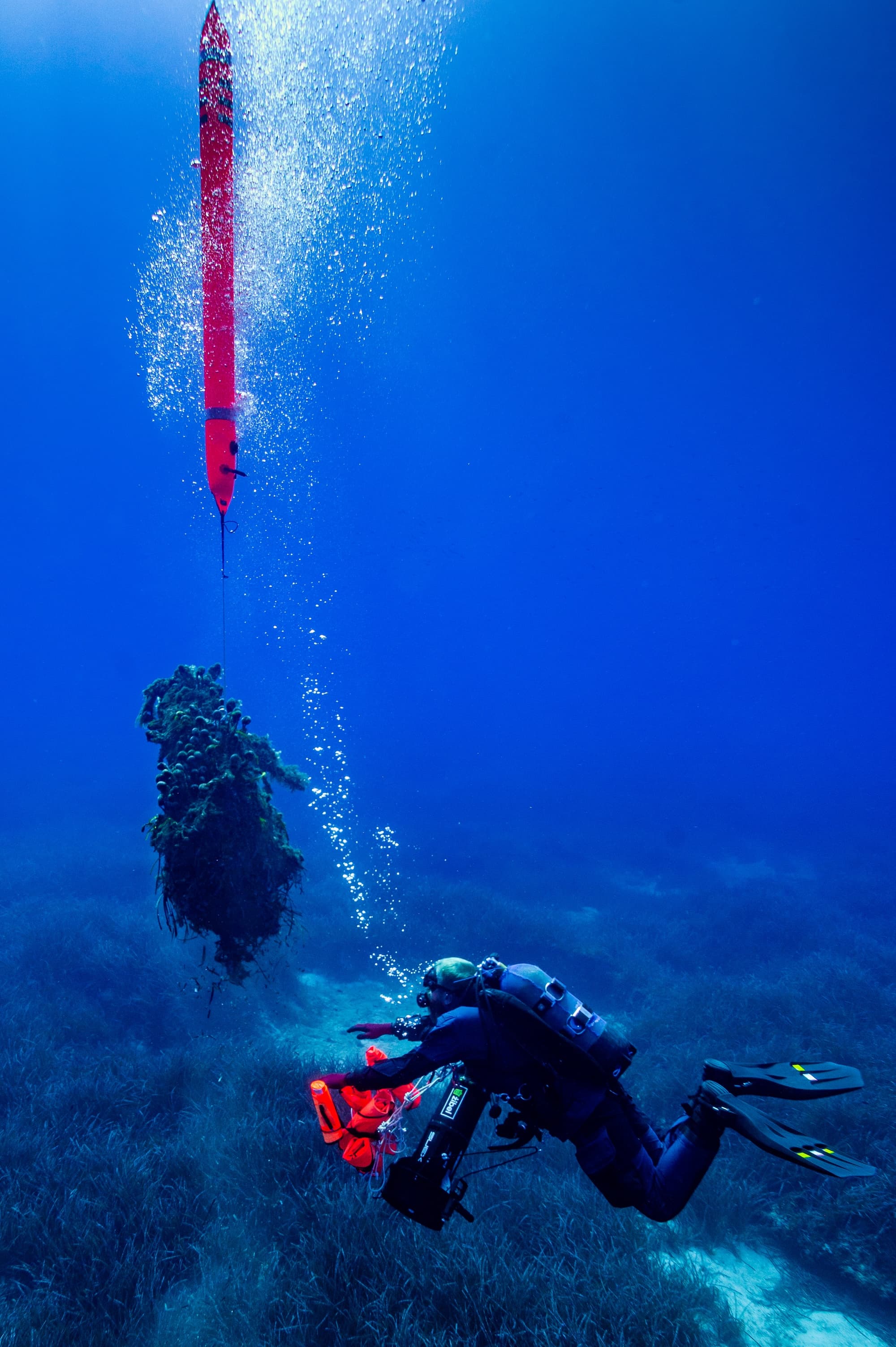 Coastal clean-up